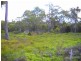 1.125ha Elephant Pass Road, St Marys TAS 7215
