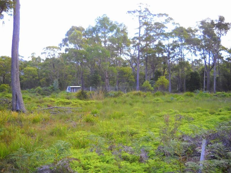 1.125ha Elephant Pass Road, St Marys TAS 7215