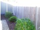 6/14 Doepel Place, St Helens TAS 7216