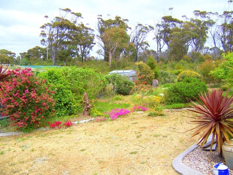 7 Targett Street, Scamander TAS 7215