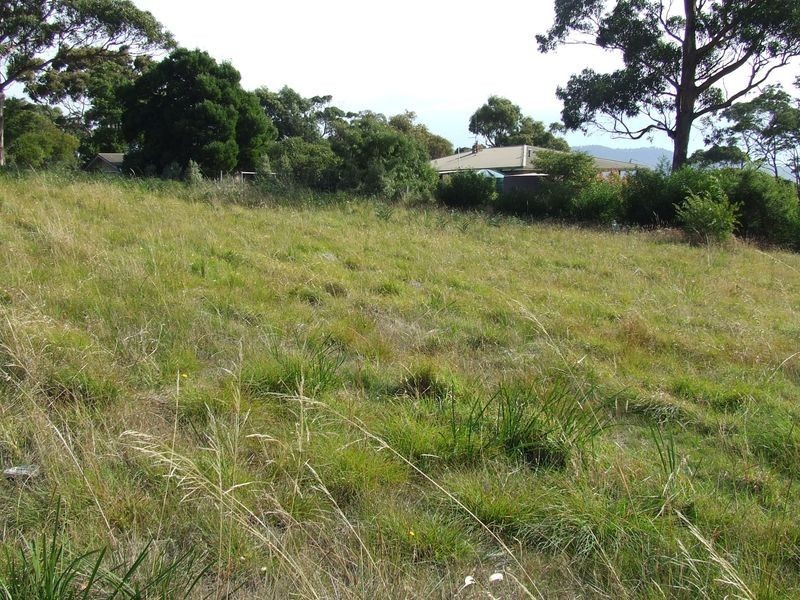 2/21 Beven Heights, Binalong Bay TAS 7216