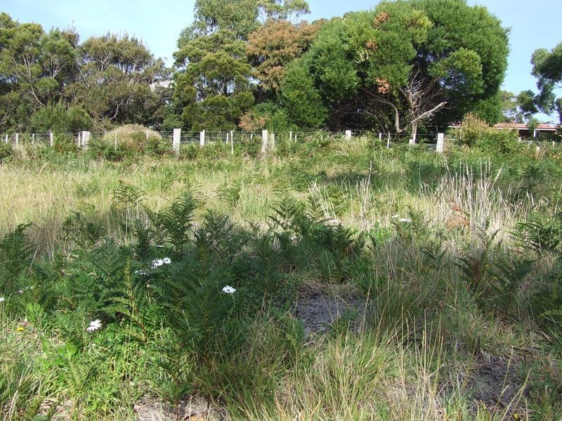 2/21 Beven Heights, Binalong Bay TAS 7216