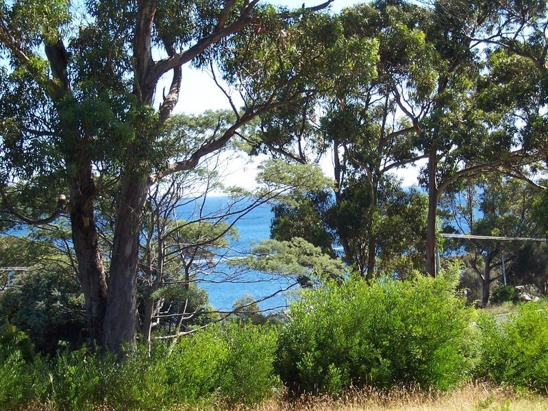 2/21 Beven Heights, Binalong Bay TAS 7216