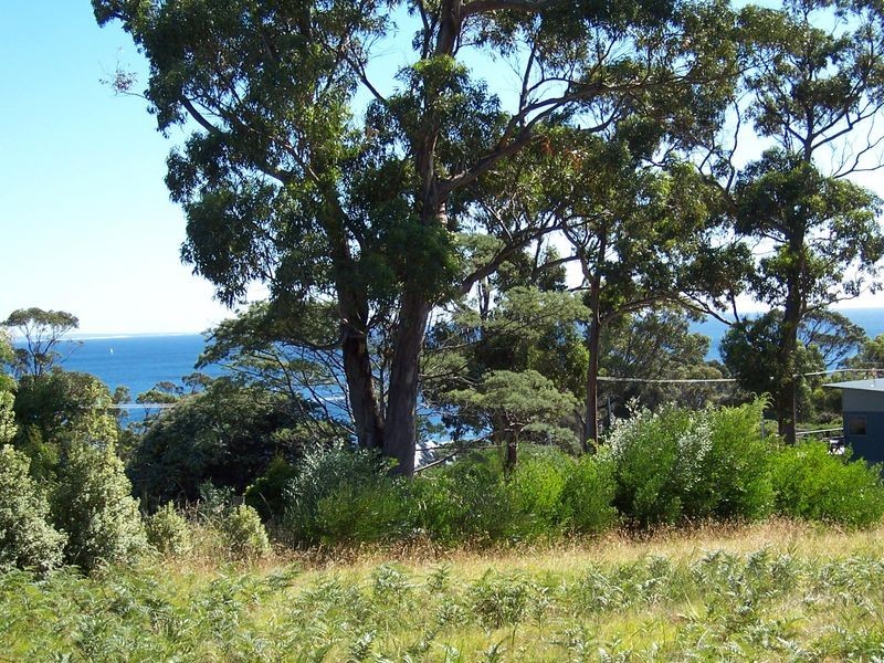 2/21 Beven Heights, Binalong Bay TAS 7216