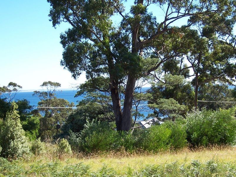 2/21 Beven Heights, Binalong Bay TAS 7216