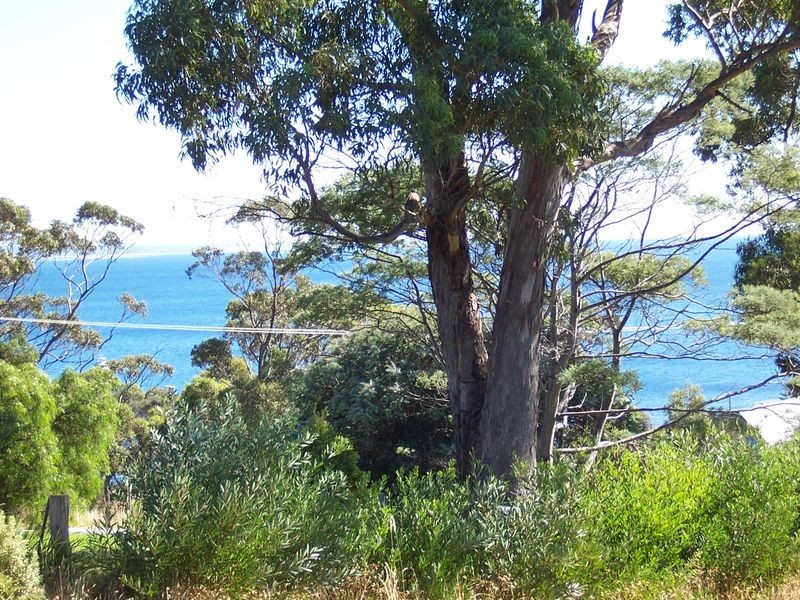 2/21 Beven Heights, Binalong Bay TAS 7216