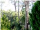 95 Argonaut Road, St Helens TAS 7216