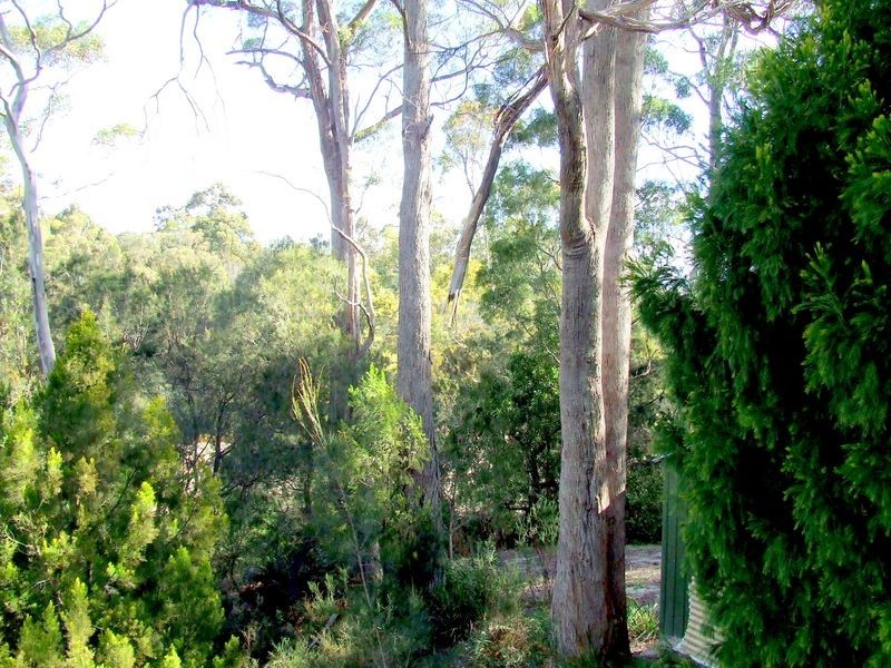 95 Argonaut Road, St Helens TAS 7216