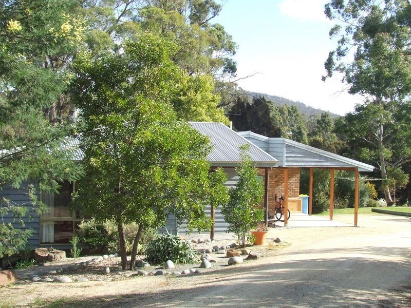95 Argonaut Road, St Helens TAS 7216