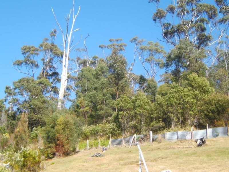 327 Binalong Bay Road, St Helens TAS 7216