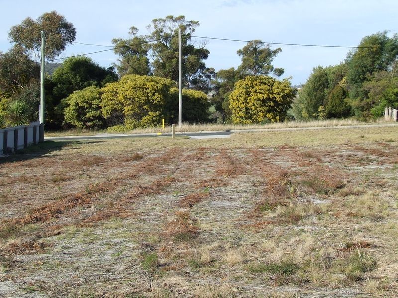 4 View Street, St Helens TAS 7216