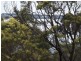 20 Kismet Place, St Helens TAS 7216