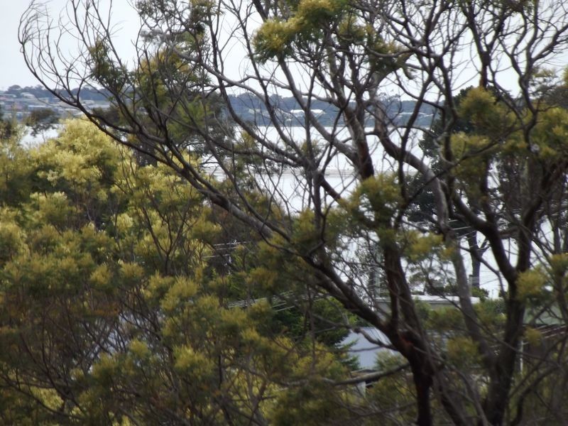 20 Kismet Place, St Helens TAS 7216