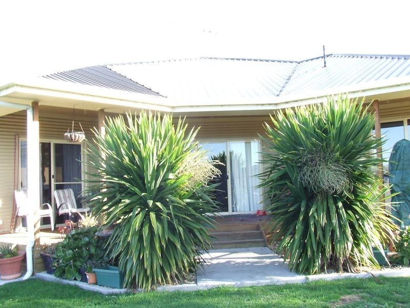 25480 Tasman Highway, St Helens TAS 7216