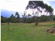 Lot 13 Thomas Street, Cornwall TAS 7215
