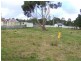 Lot 13 Thomas Street, Cornwall TAS 7215