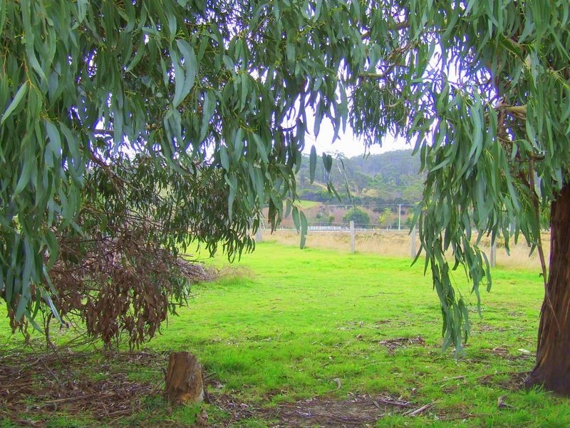 138 Binalong Bay Road, St Helens TAS 7216