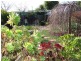 142 St Helens Point Road, Stieglitz TAS 7216