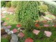 142 St Helens Point Road, Stieglitz TAS 7216
