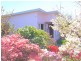 60 Medea Cove Esplanade, St Helens TAS 7216