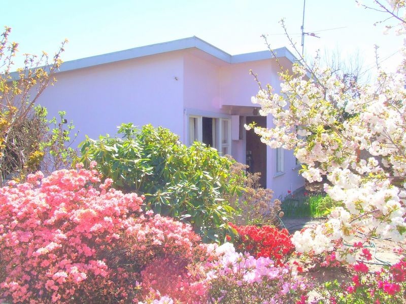60 Medea Cove Esplanade, St Helens TAS 7216