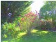 60 Medea Cove Esplanade, St Helens TAS 7216
