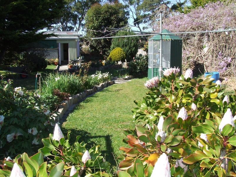 60 Medea Cove Esplanade, St Helens TAS 7216