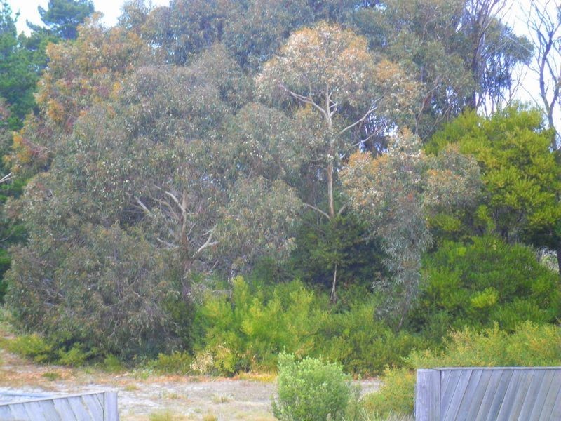 5 Sunbeam Avenue, Beaumaris TAS 7215