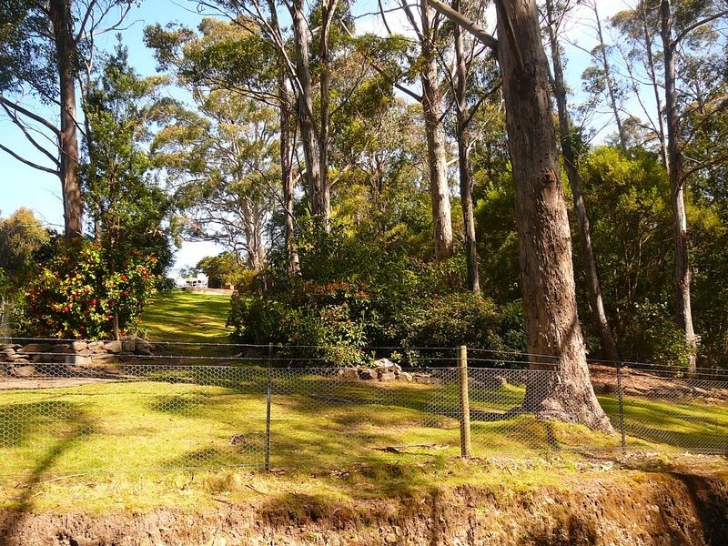 735 Elephant Pass Road, Gray TAS 7215