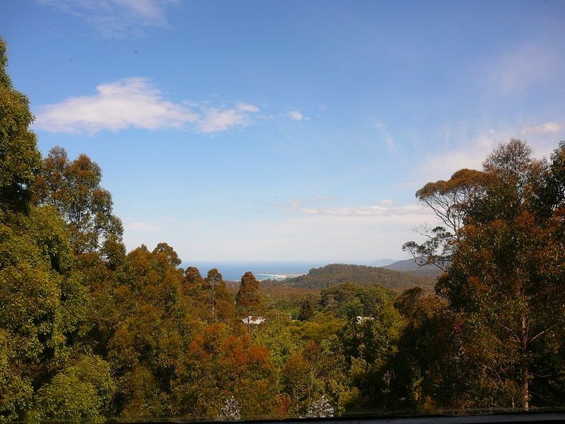 735 Elephant Pass Road, Gray TAS 7215