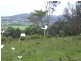 Canhams Road, St Helens TAS 7216