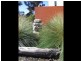 266 Gardens Road, Binalong Bay TAS 7216
