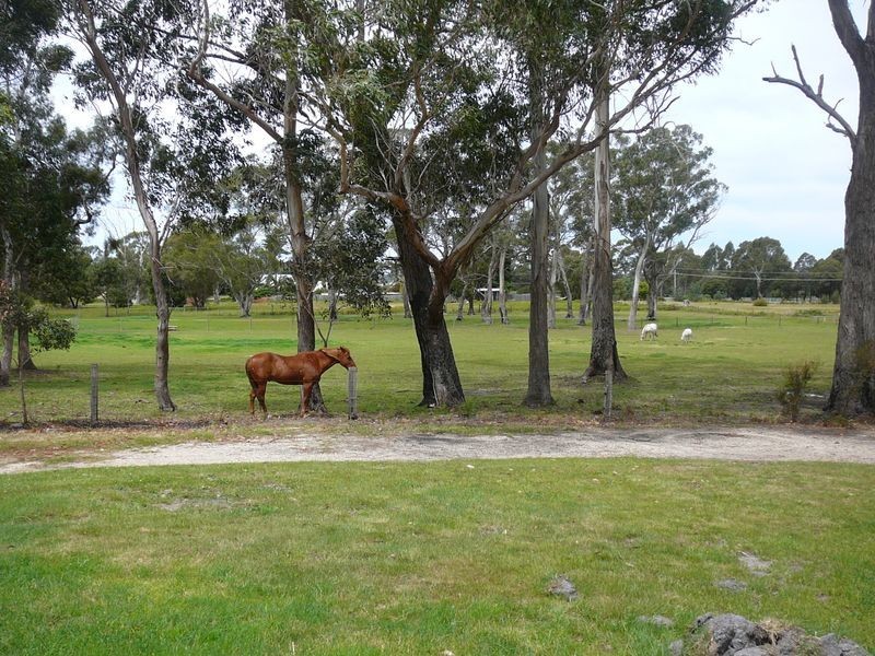19 West Street, St Helens TAS 7216
