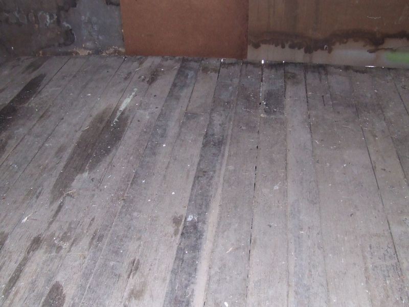 85 Elizabeth Street, Mangana TAS 7214