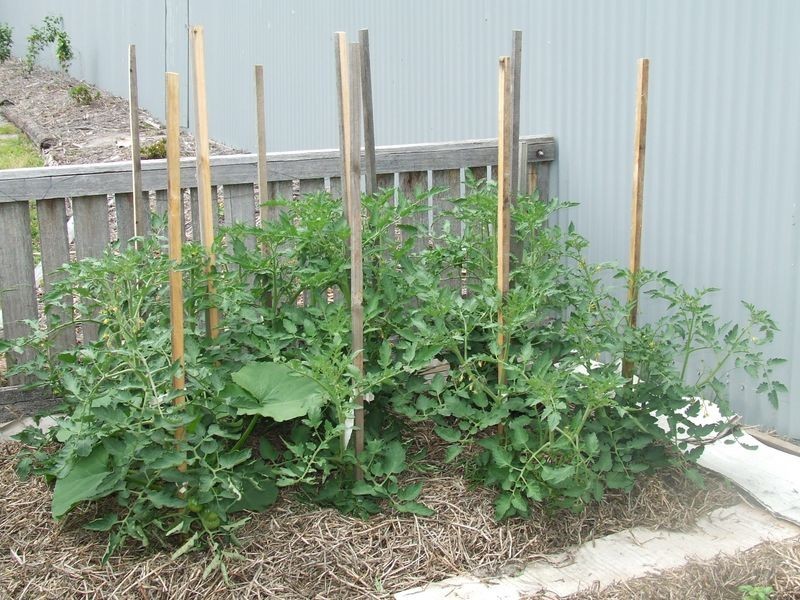 33 Coffey Court, Binalong Bay TAS 7216