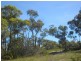 Lot 2 120 Gardens Road, Binalong Bay TAS 7216