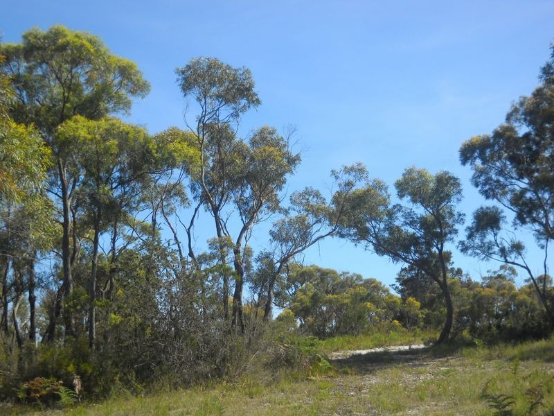 Lot 2 120 Gardens Road, Binalong Bay TAS 7216