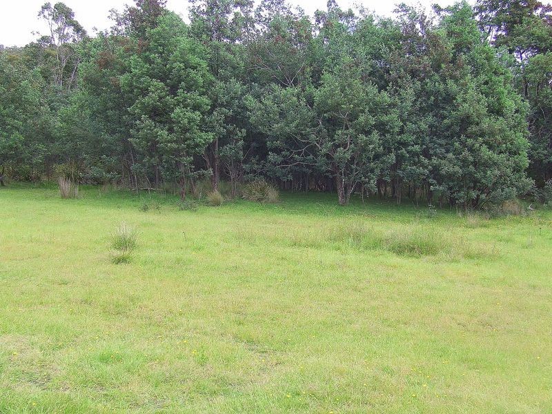 Thomas Street, Mathinna TAS 7214