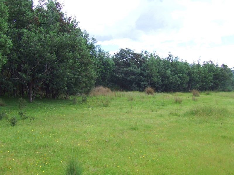 Thomas Street, Mathinna TAS 7214