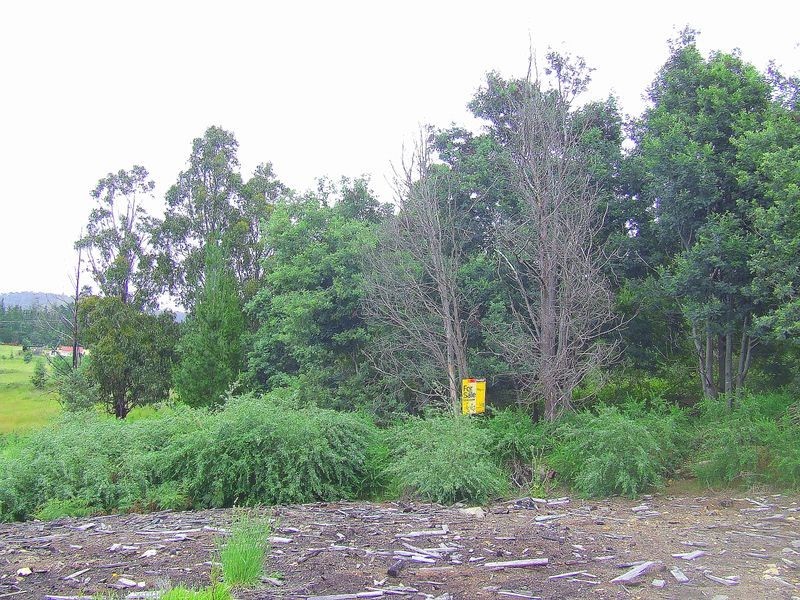 Bent Street (King Street), Mathinna TAS 7214