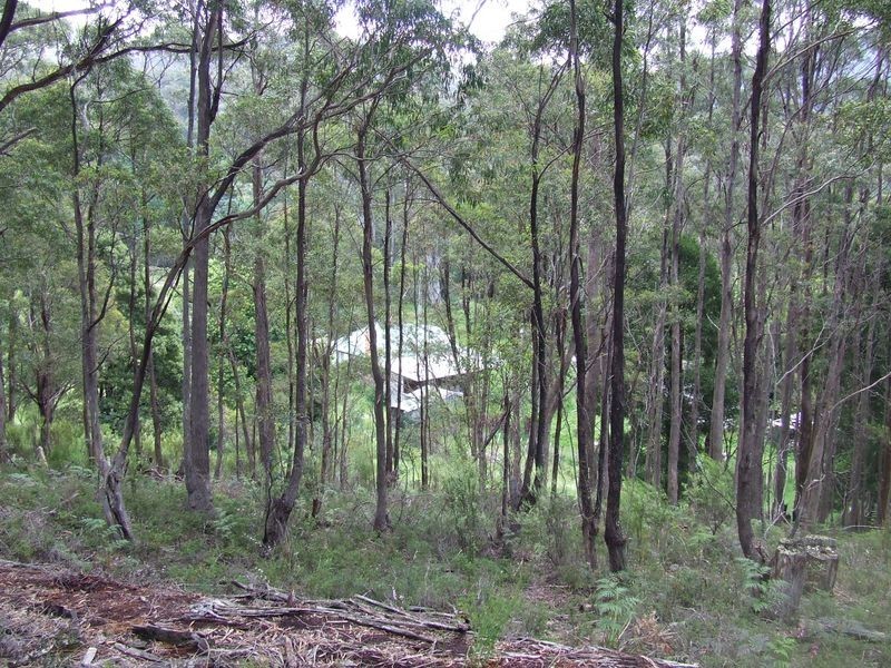 1494 Upper Esk Road, Upper Esk TAS 7214