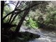 1494 Upper Esk Road, Upper Esk TAS 7214