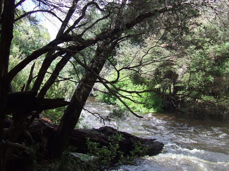 1494 Upper Esk Road, Upper Esk TAS 7214