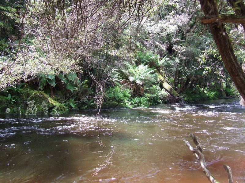 1494 Upper Esk Road, Upper Esk TAS 7214
