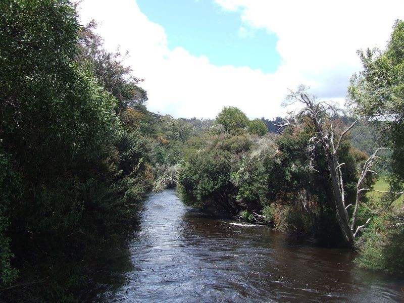 1494 Upper Esk Road, Upper Esk TAS 7214