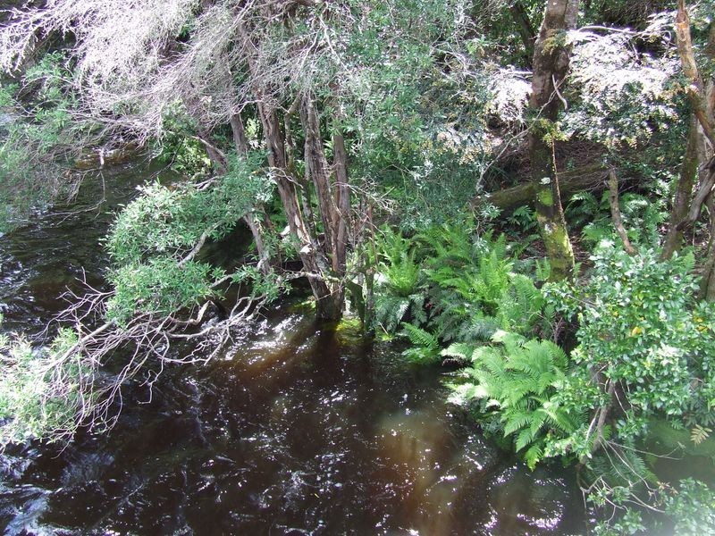 1494 Upper Esk Road, Upper Esk TAS 7214