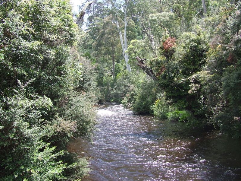 1494 Upper Esk Road, Upper Esk TAS 7214