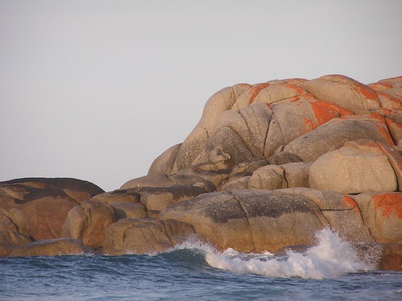 SAAMAYIKA, Binalong Bay TAS 7216