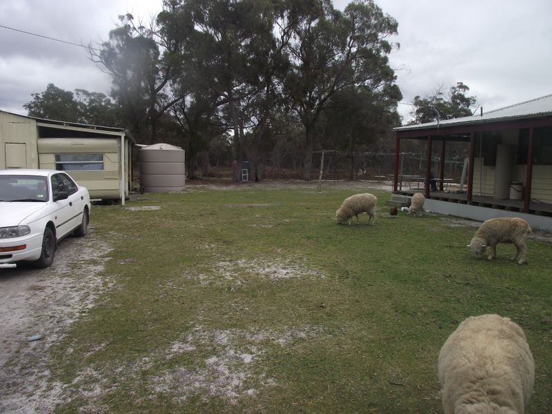 1060 North Ansons Bay Road, Ansons Bay TAS 7216