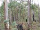 Lot 2 Tasman Highway, St Helens TAS 7216